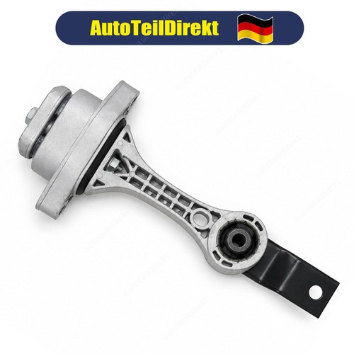 Drehmomentstütze hinten
